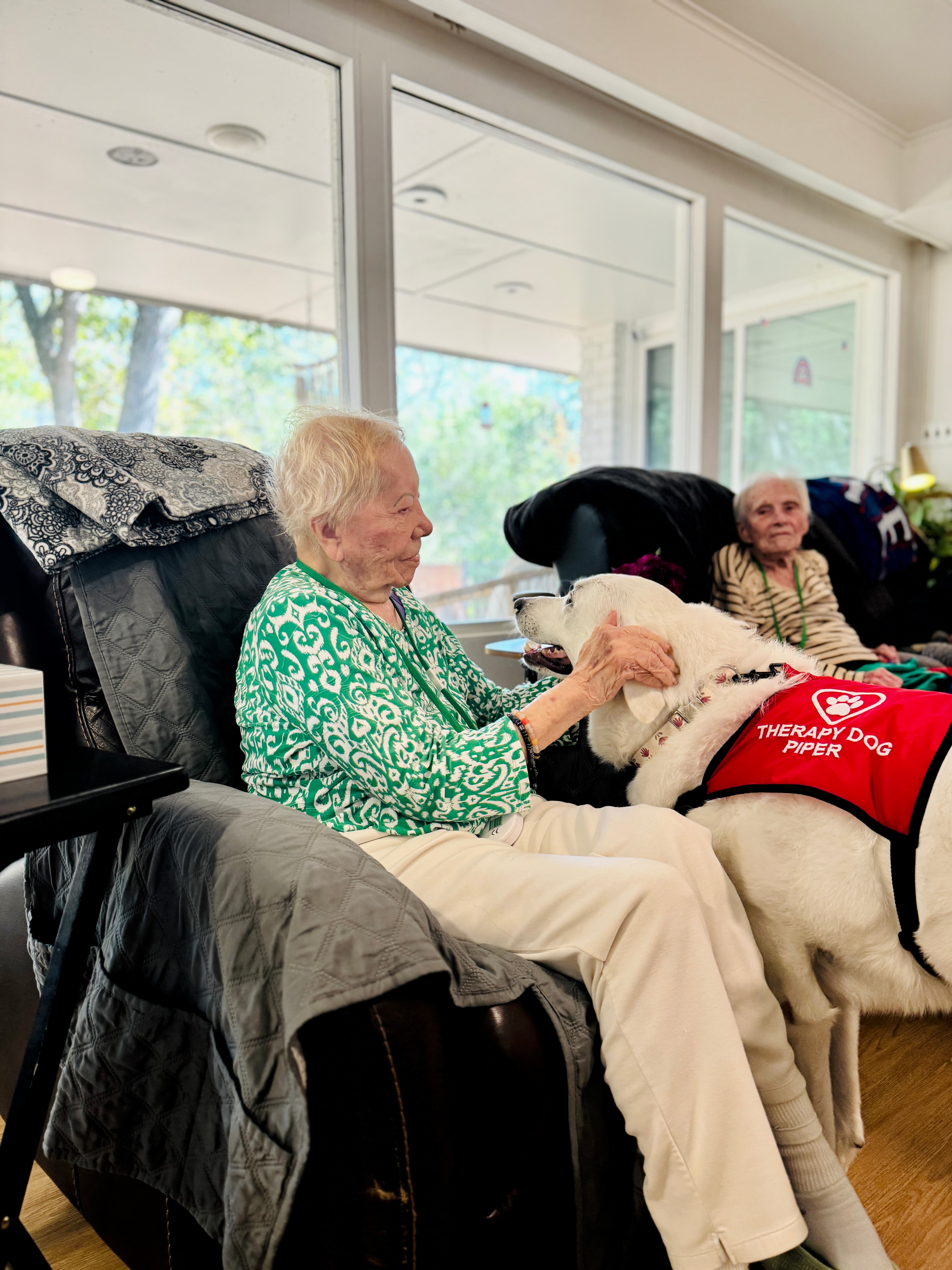 Therapy dog visit at Timeless Care Homes